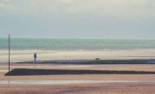 Rear view of man at beach against sky