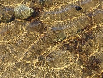 Full frame shot of water on beach