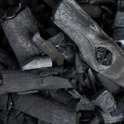 Close-up of logs in forest