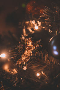 Close-up of illuminated christmas tree at night