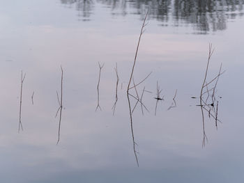 water