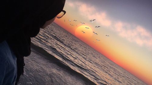 Bird flying over sea at sunset