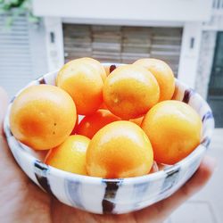 Close-up of fruits in plate