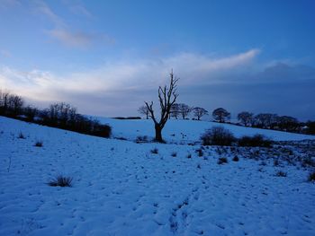 Scenic view of snow covered field against sky