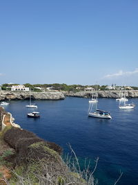 Sailboats sailing in sea against clear blue sky