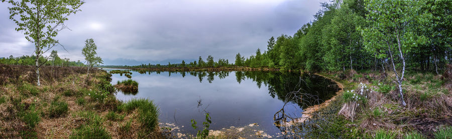 Scenic view of lake in forest against sky