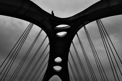 Low angle view of bird perching on suspension bridge against sky