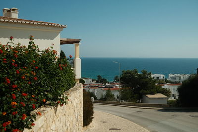 Scenic ocean view in salema, portugal. shot on fujifilm x100v.