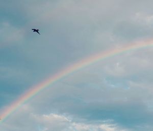 Low angle view of rainbow in sky