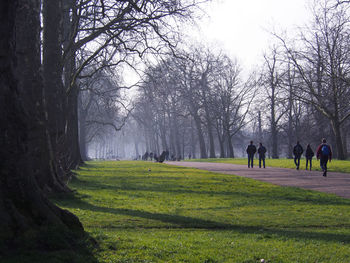 People walking on road amidst bare trees in park
