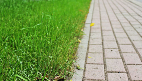 High angle view of footpath by street