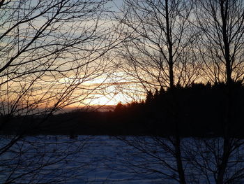 Silhouette bare trees on landscape against sky during sunset