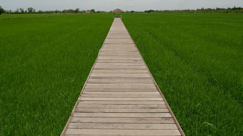 Boardwalk on field