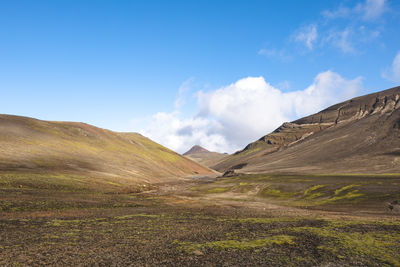 landscape