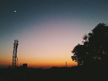 Silhouette of trees at sunset