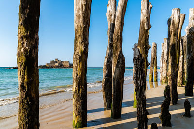 Wooden poles in the beach of saint-malo