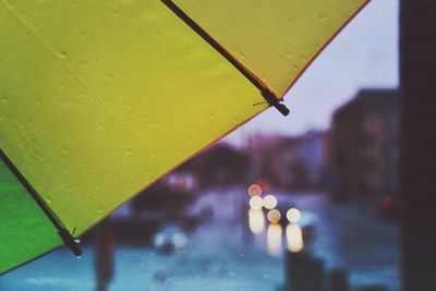 Close up of yellow flower