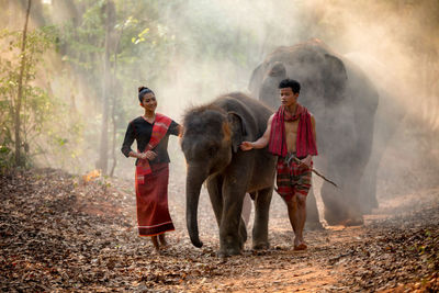 People with elephants walking in forest