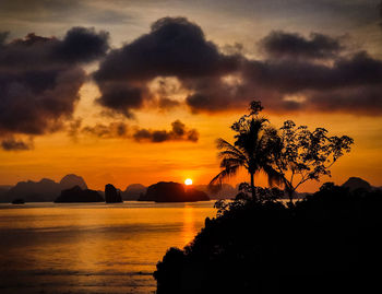 Silhouette trees by sea against sky during sunset