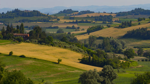 Scenic view of landscape