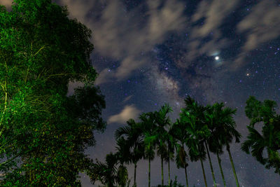 Low angle view of trees against sky at night