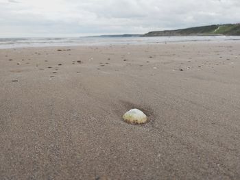 Surface level of sandy beach against sky
