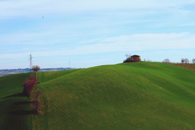 Scenic view of farm against sky