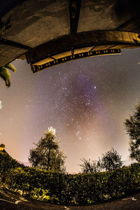 Low angle view of trees against sky at night