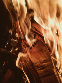 Close-up of fire