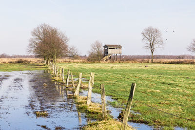 Bare trees on field against clear sky