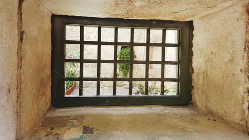 Window of house