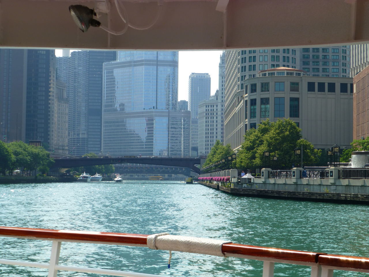 Chicago river boatrid