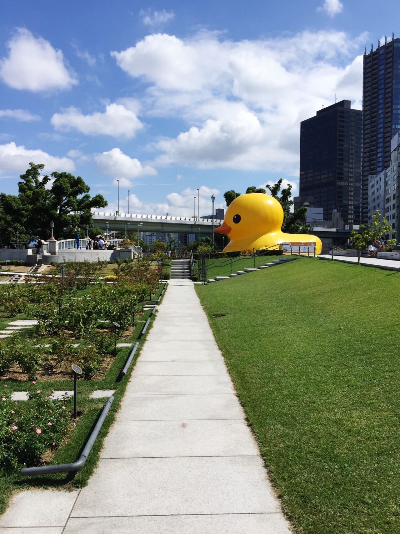 ラバー･ダック (Rubber Duck)(@水辺のまちあそび水都大阪フェス2015)