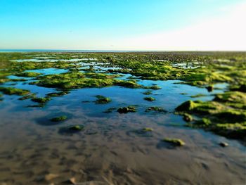 Surface level of calm blue sea