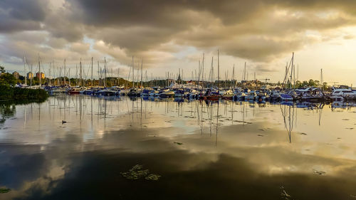 Sailboats in marina