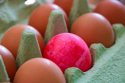 Close-up of multi colored candies