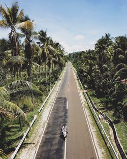 Road amidst trees against sky