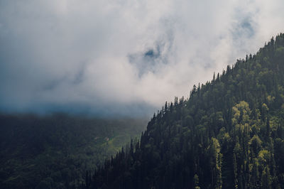 nature