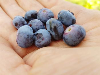 Close-up of hand holding fruits on table