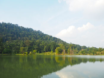 Scenic view of lake by trees against sky