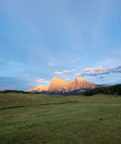 Scenic view of field against sky