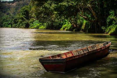 Boat on river by trees