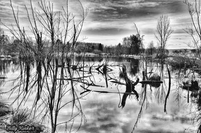 Reflection of bare trees in lake against sky