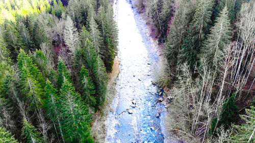 Panoramic shot of plants growing on land