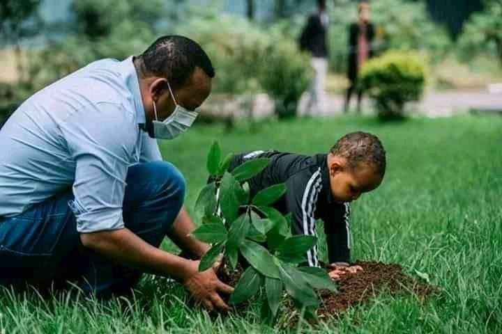 men, adult, plant, lawn, grass, two people, nature, occupation, green, education, child, lifestyles, agriculture, land, healthcare and medicine, crouching, childhood, growth, person, field, outdoors, assistance