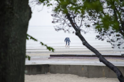 Rear view of man walking on tree