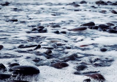 Full frame shot of rocks on beach