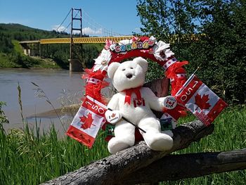 Teddy bear with flags
