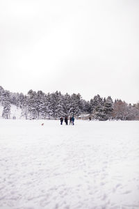 Trees on snow covered field against sky