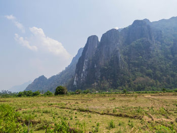 environment